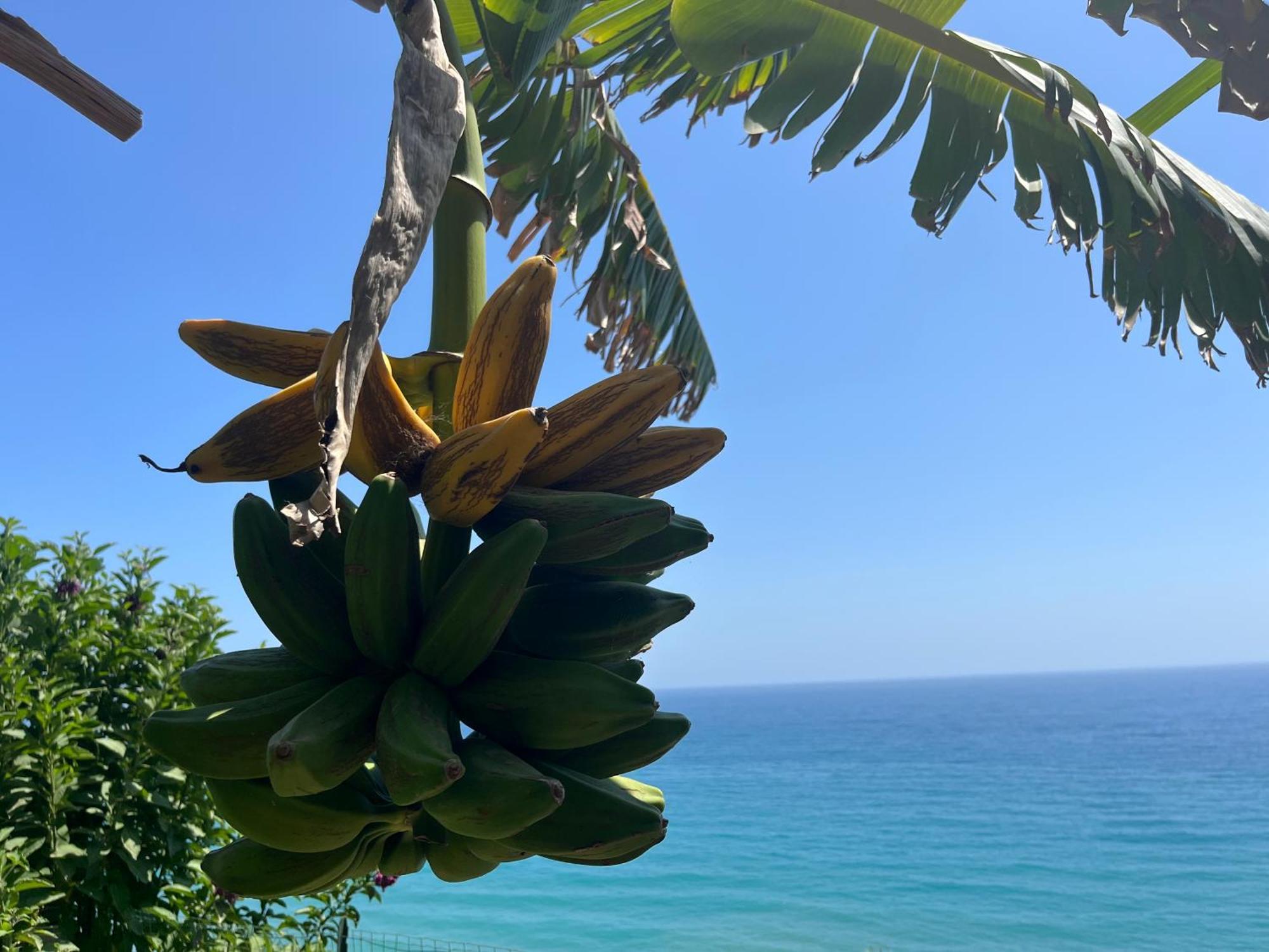 Casa Monnalisa - Calandre Sabbie Oro Villa Ventimiglia Bagian luar foto